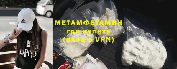 сатива Новодвинск