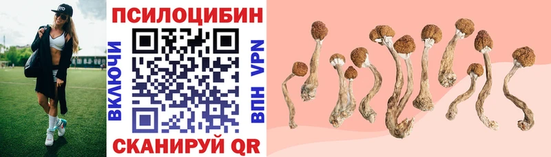 цены   мориарти официальный сайт  Псилоцибиновые грибы мухоморы  Ульяновск 