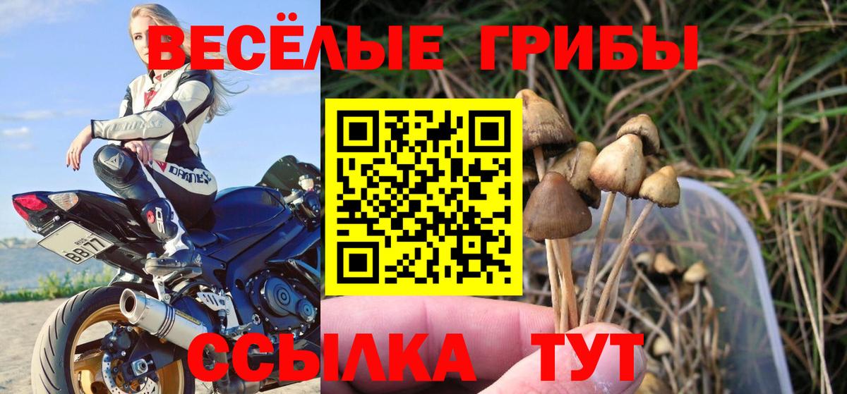 цена   Галлюциногенные грибы мицелий  Вход с VPN  Ульяновск 
