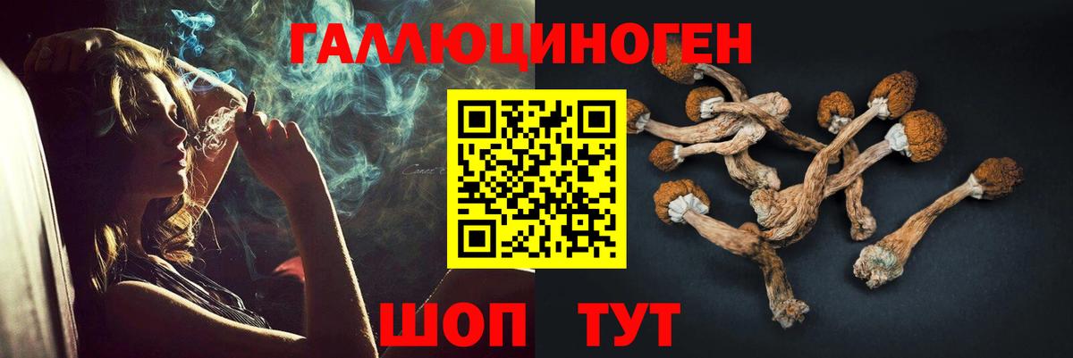 Галлюциногенные грибы Psilocybine cubensis  Псилоцибиновые грибы Psilocybine cubensis  Ульяновск 