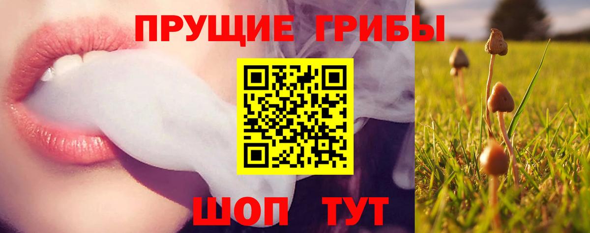 Галлюциногенные грибы Psilocybe Ульяновск